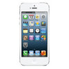 Apple iPhone 5 16Gb white - Светлоград